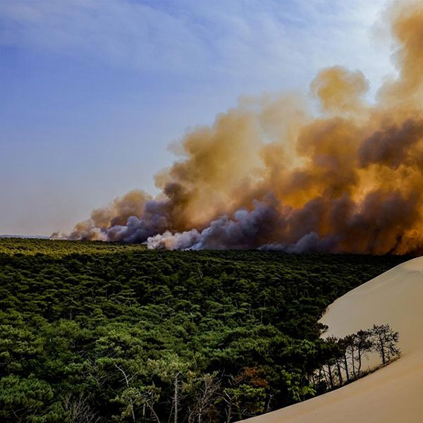 EONEF est un maillon de la prévention et de la lutte contre les feux de forêt